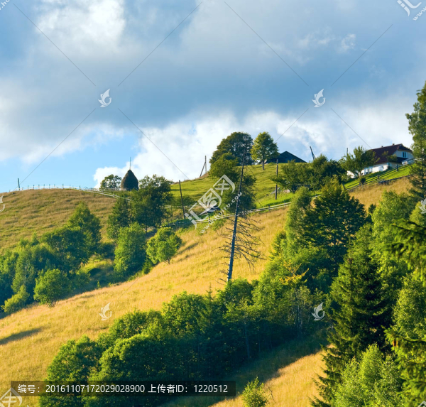 夏山景觀