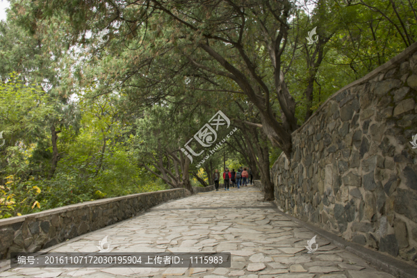 北京香山石板路