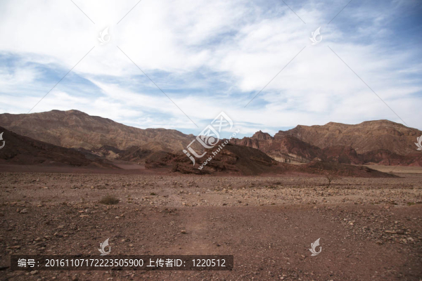 在Arava沙漠旅行