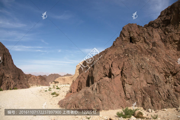 在Arava沙漠旅行