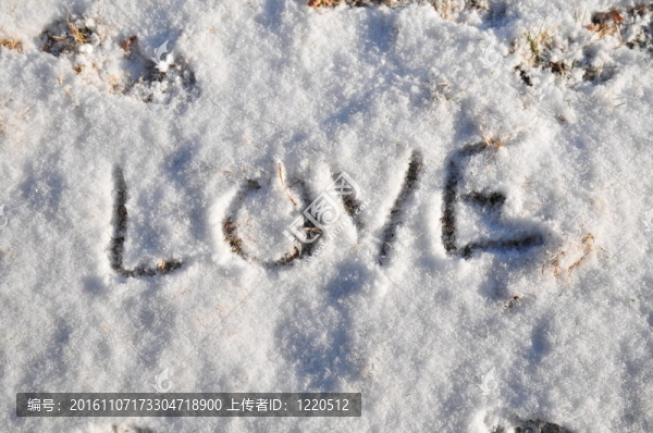 愛寫在雪中