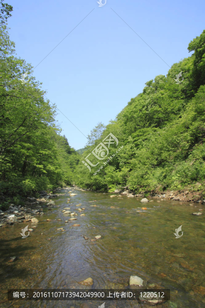 白神山地