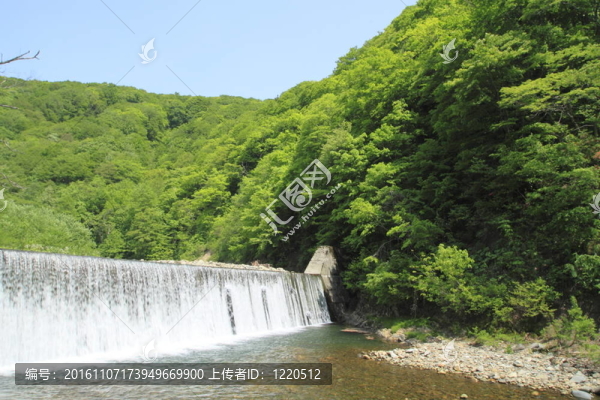 白神山地
