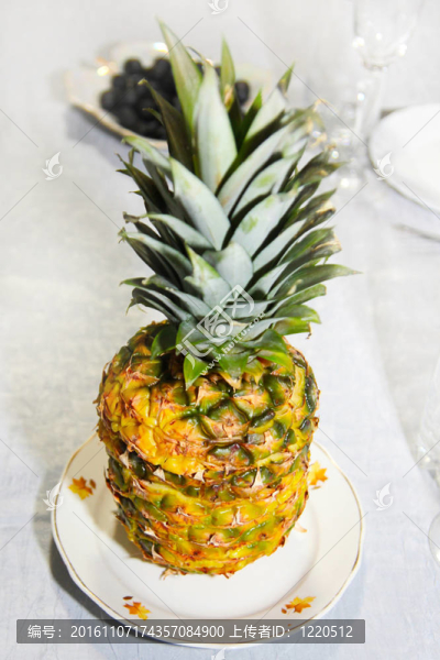 菠蘿