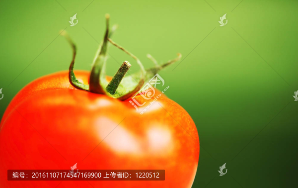 紅番茄的特寫