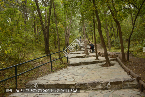攀登北京香山旅途