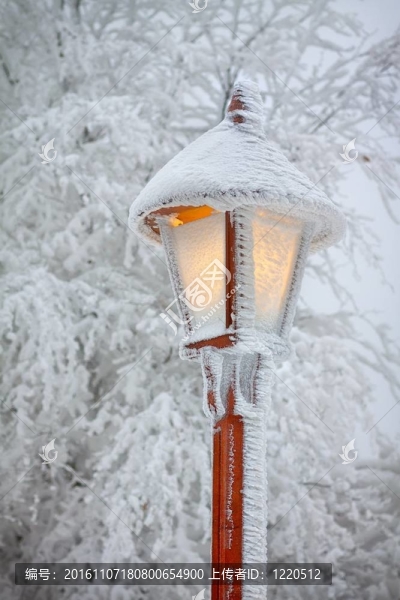在下雪的路燈