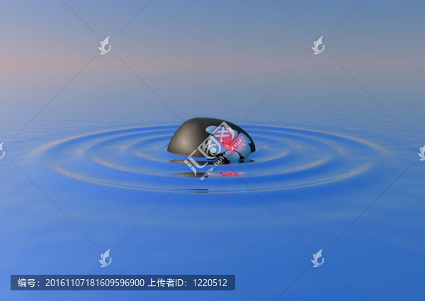 漂浮的花和石頭