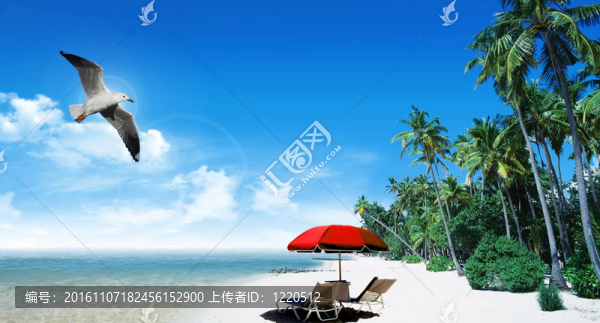 熱帶海灘