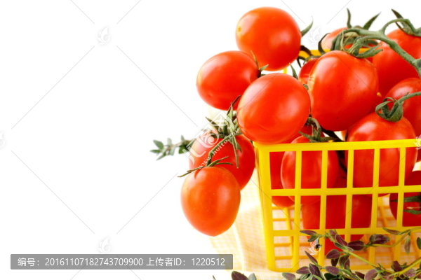 西紅柿櫻桃鮮熟