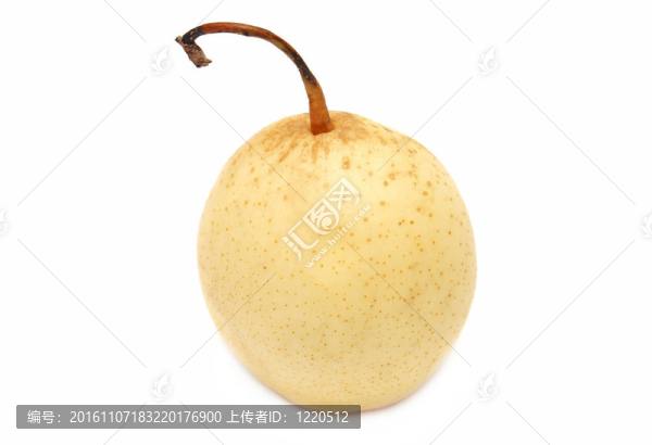 中國梨