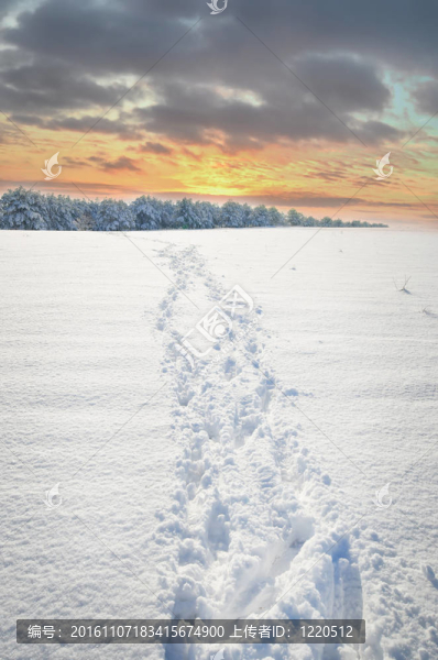 冬季景觀-匯圖網(wǎng) www.fosd68.com 冬季景觀