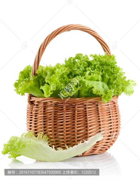綠葉生菜放在籃子里