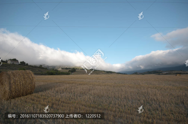 農(nóng)業(yè)概念：靜物；放松；農(nóng)村；農(nóng)業(yè)