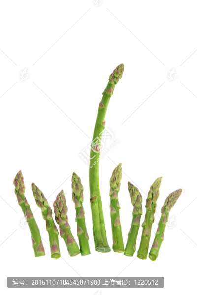 蘆筍