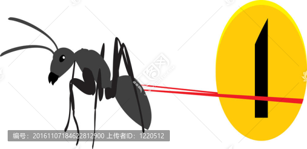 用硬幣的螞蟻