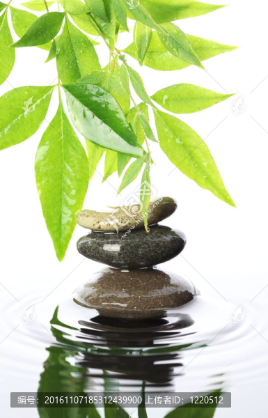 水中堆積的石頭