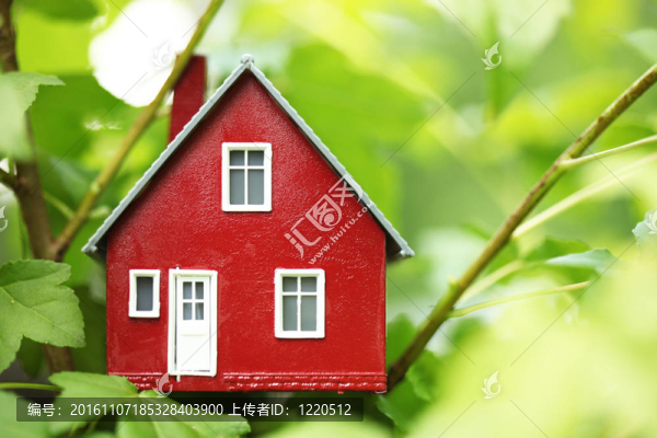 樹(shù)上的房子