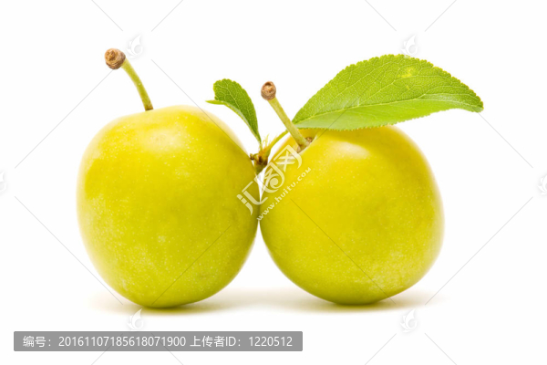 生態(tài)李子