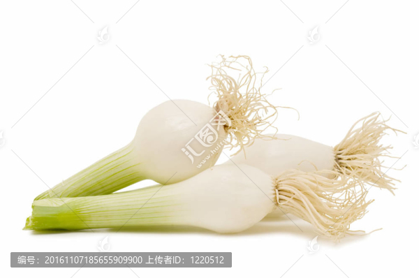 洋蔥