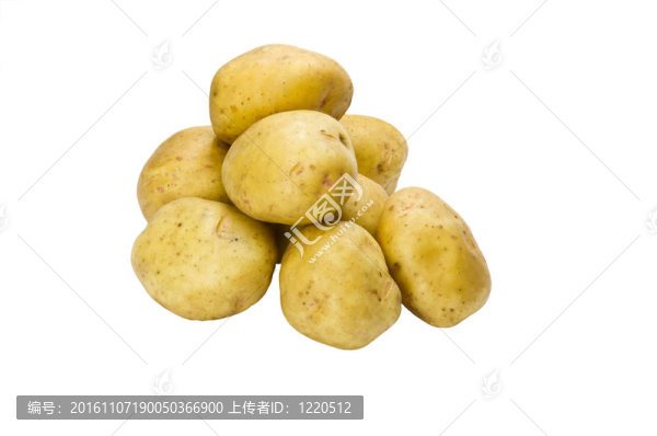 白色排列的白色馬鈴薯-匯圖網(wǎng) www.fosd68.com 白色排列的白色馬鈴薯