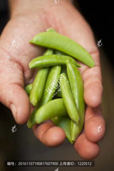 手與豌豆莢