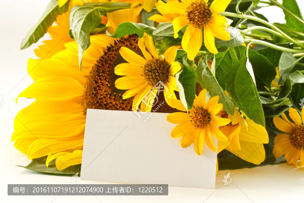 花束