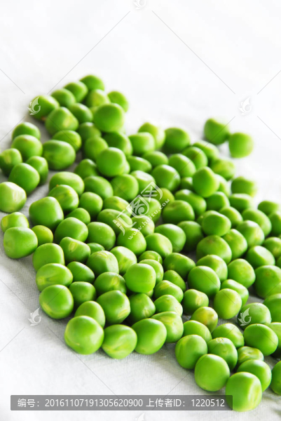 年輕的豌豆