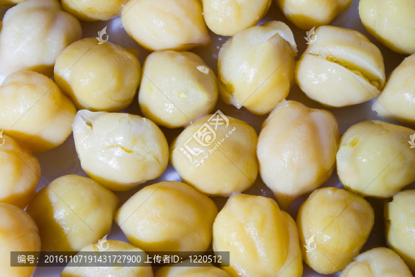 組的鷹嘴豆