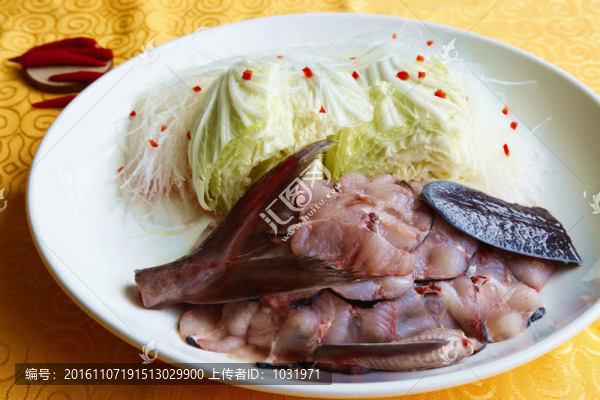 生態(tài)鴨嘴魚