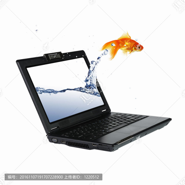 筆記本屏幕上的金魚