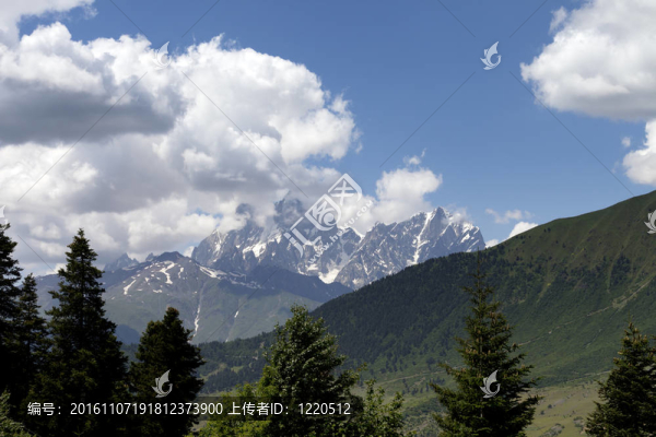 夏山