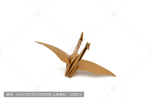 鳥文
