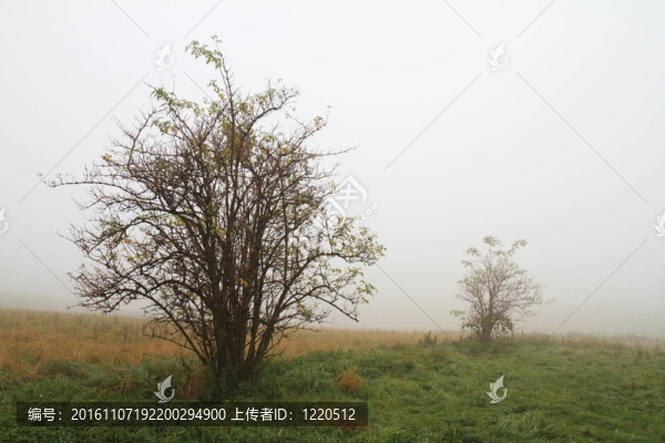 秋雨迷蒙