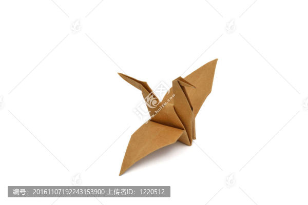 鳥文