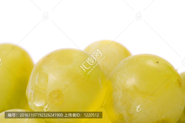 白葡萄