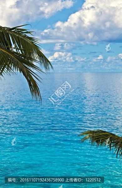 夢海景觀