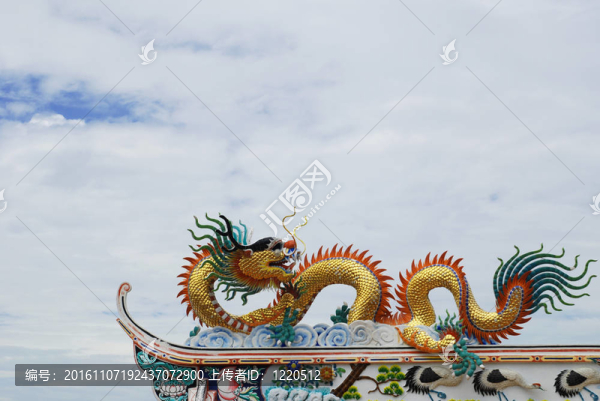 美麗的中國(guó)龍