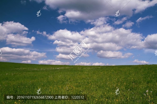春天的風(fēng)景