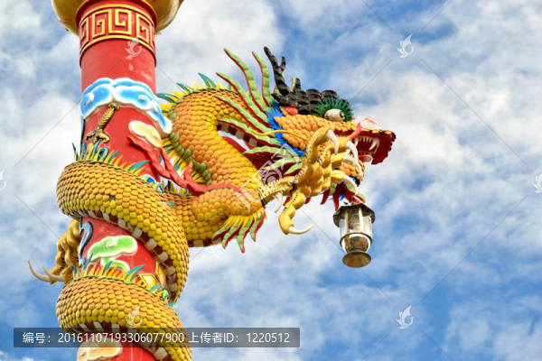 龍樁