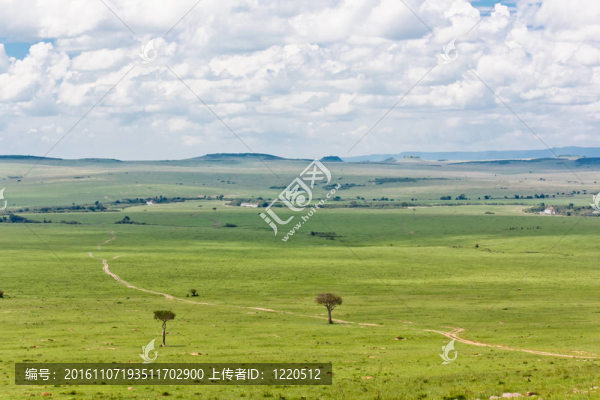 Masai,Mara