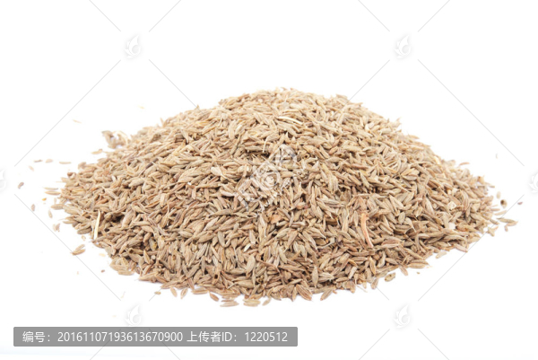 茴香子