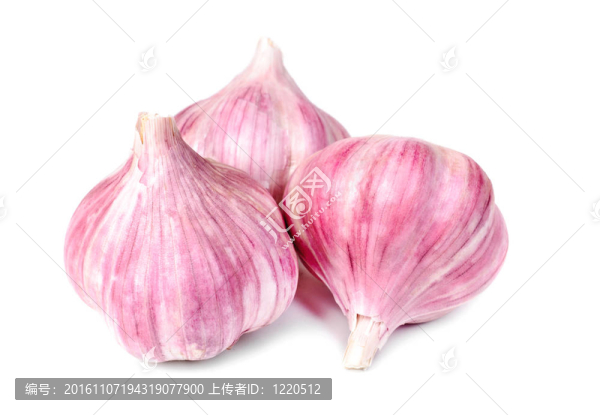 大蒜白蒜