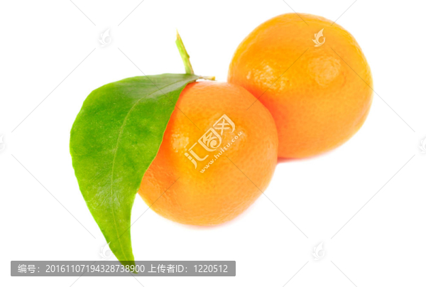 求購白色兩分離