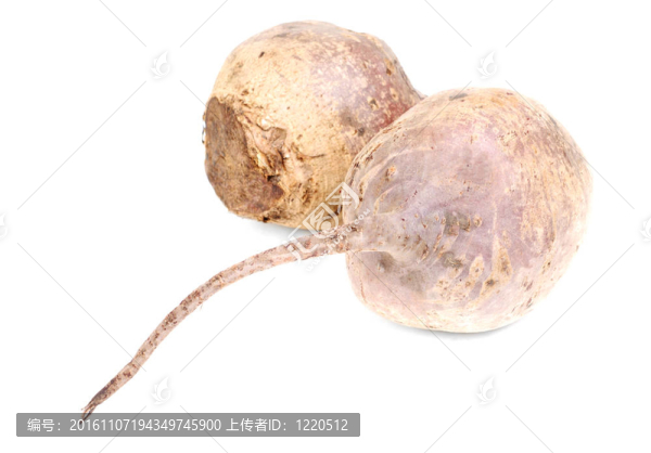 白色背景下甜菜紫色蔬菜