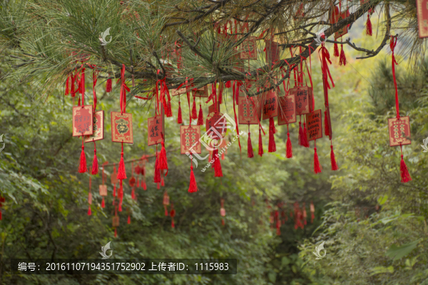 樹枝上的紅色祈福牌