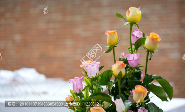 玫瑰的花束