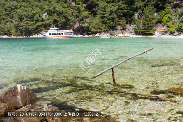 野生的海灘附近的水晶