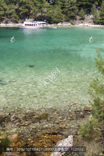 野生的海灘附近的水晶