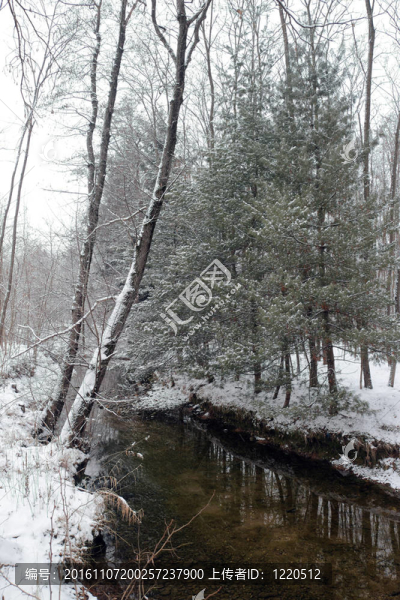 溪下大雪